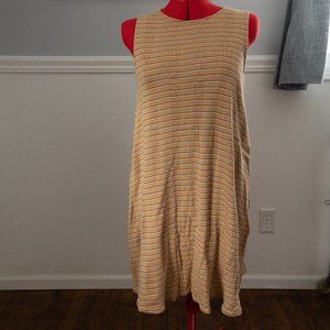 AE Medium Striped Shift Dress